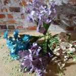 kytica orchidea  3672
